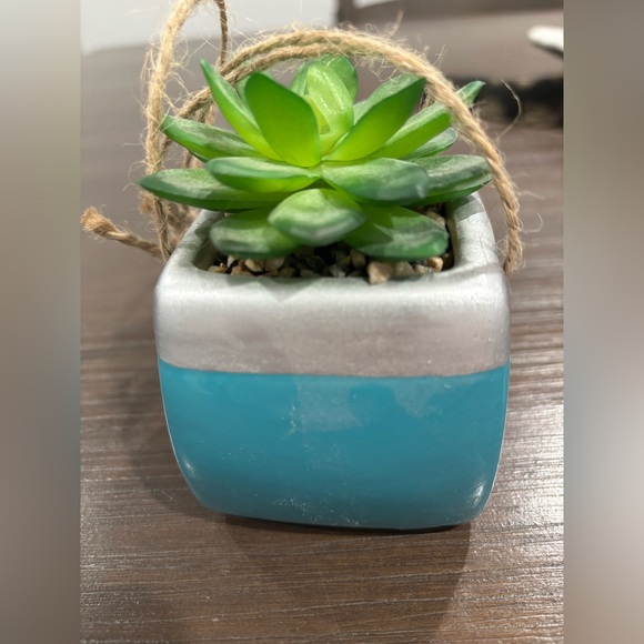 Blue Retro Camera with Fake Succulent Hanging Decor - Picture 4 of 7